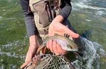 Tuolumne Basecamp Fly Fishing Adventure | 2 days & 1 night or 3 days & 2 nights