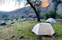 Tuolumne Basecamp Fly Fishing Adventure | 2 days & 1 night or 3 days & 2 nights