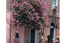 Small-Group French Quarter History Walking Tour 