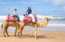 From Taghazoute : 2 Hours Agadir Camel Ride With Transfers and Tea Break