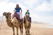 From Taghazoute : 2 Hours Agadir Camel Ride With Transfers and Tea Break
