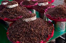2-Day Guided Tour in Oaxaca with a Certified Guide