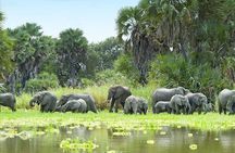 3 Days Selous (Nyerere) Safari from Zanzibar or Dar es salaam