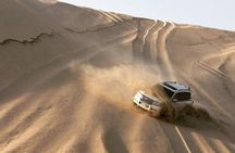 Desert Safari and Inland Sea(Private Tour)
