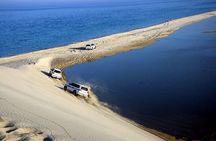Desert Safari and Inland Sea(Private Tour)