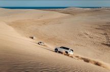 Desert Safari, Camel ride and Inland Sea Tour