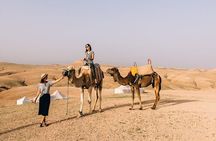 2-Hour Quad Adventure in the Palmerais Desert from Marrakech