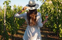 3-Day Private Guided Tour to Cape Town Top Attractions