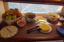 Dolphin Searching Tour in Puerto de Mogán ("EXPLORER" Boat)