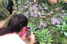 Puerto Vallarta Botanical Gardens Hiking Tour