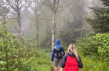Clingmans Dome Hike