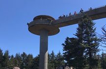 Clingmans Dome Hike