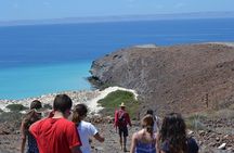 Balandra & Tecolote: hike, kayak and snorkel in paradise