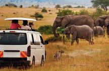 2-Day all inclusive safari to Amboseli National park from Nairobi