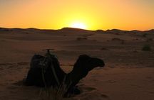 2 days Fes to Merzouga back to Fes