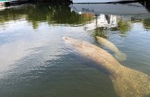 Key Largo Sunset Cruise