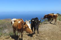 Private Day Trip to Santo Antao with Lunch