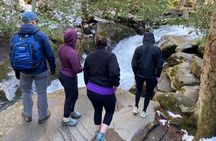 Appalachian Waterfalls Hike