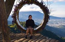 Altamira tour by Mule/buggy for 2 persons