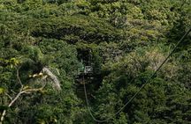 St. Kitts Zipline Experience