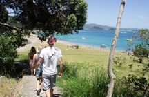 3 Hours // Hole in the Rock Cruise & Bay of Islands Tour