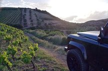 Private Exclusive Manousakis Winery and Vineyard Tour 