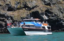 Akaroa Full Day Tour Including Harbor Nature Cruise from Christchurch