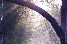 Sunder Nursery Delhi's Heritage Garden Walk Tour