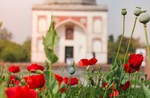Sunder Nursery Delhi's Heritage Garden Walk Tour