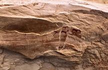 Full-Day Private Cave Painting and Ancient War Scene Tour