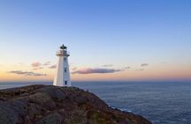 The best of St. John's walking tour
