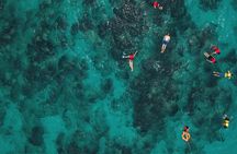 El Cielo the Breathtaking Snorkel Tour of Cozumel Cielito Beach & Lunch Included