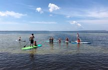 Stand Up Paddle Board Lesson in Panama City Florida