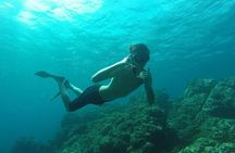 Sea Scooter Snorkeling Tour