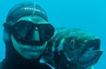 Discover Spearfishing course