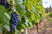 Naramata Bench 5 Winery Tour 