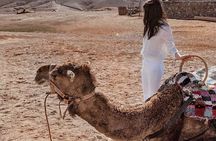 Private Desert Agafay Dinner show & Camel Ride