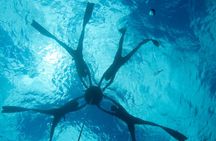 PADI Freediver Course in Barbados