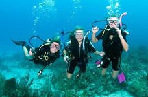 Scuba Diving PADI Open Water Course, & transfer - Sharm El Sheikh