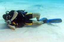 Scuba Diving PADI Open Water Course, & transfer - Sharm El Sheikh