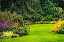  Vancouver 1-Day city tour