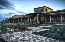 Behind the Wine: Guided Winery Tour & Tasting in Extremadura