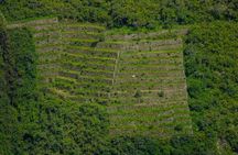 4 days Trek to Choquequirao 