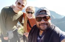 Horton Plains-World's End Tour and Tea Factory Tour From Nuwaraeliya