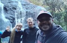 Horton Plains-World's End Tour and Tea Factory Tour From Nuwaraeliya