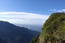 Horton Plains-World's End Tour and Tea Factory Tour From Nuwaraeliya
