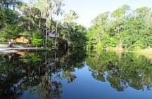 Cypress Forest: Guided Nature Kayak Eco-Tour