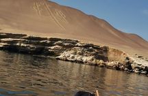 PARACAS and PISCO ROUTE with SANDBOARD - Day Tour