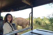 Hikkaduwa/Galle/Mirissa : Transfer to Ella & Udawalawe safari 