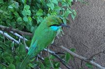 Hikkaduwa/Galle/Mirissa : Transfer to Ella & Udawalawe safari 